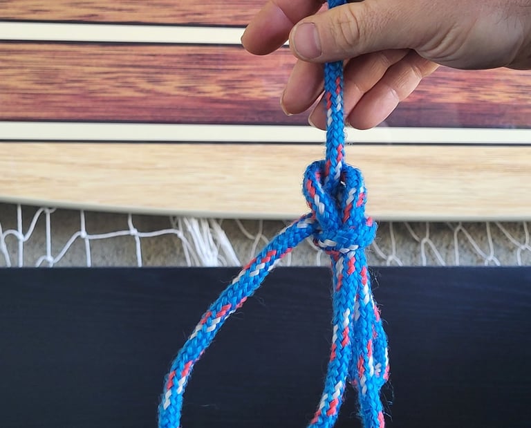 Bowline with a bight, perfect for a trucker's hitch pivot
