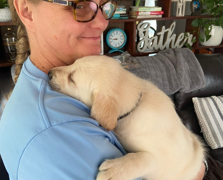 Pet Transport Licensed and Insured