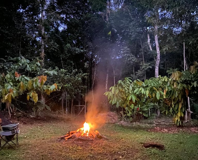 Fogueira e floresta onde acontecem os rituais com Ayahuasca na Casa Cura Itacaré