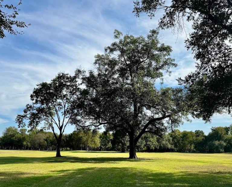 Park Setting at Glen Rose RV Park