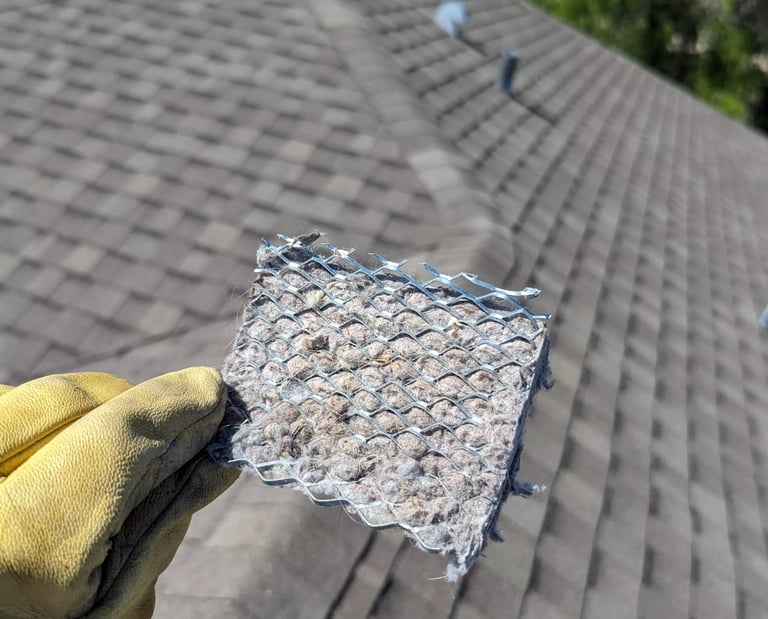 Dryer vent screen clogged with lint, Dryer Vent Cleaning in Cape Coral, Duct Cleaning