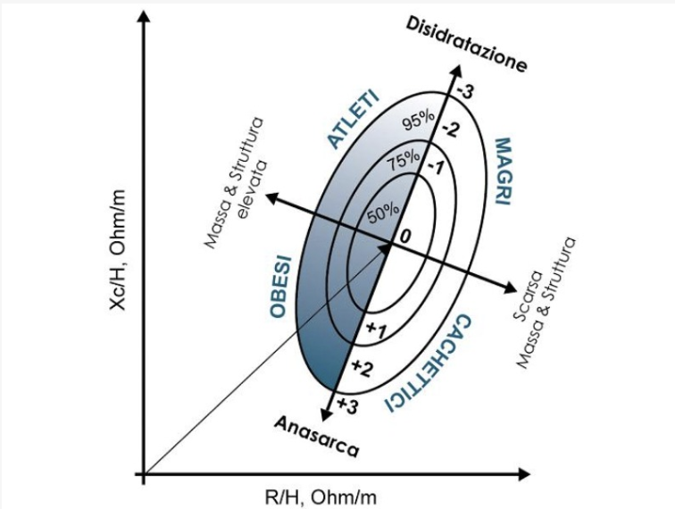 analisi vettoriale bioimpedenza
