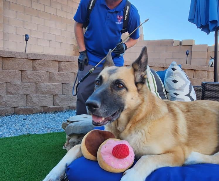 l and m pest control service technician with client dog