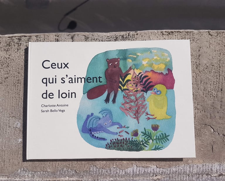 Album jeunesse
