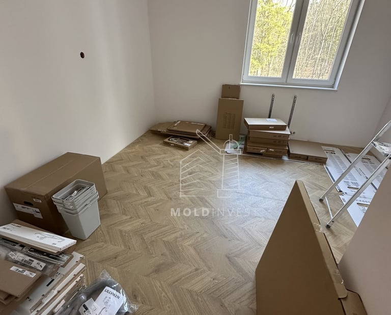 Remonty MoldInvest