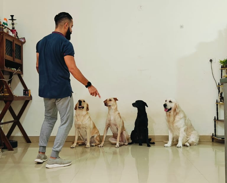 Happy family moment with all four Pawdashians dogs enjoying playtime