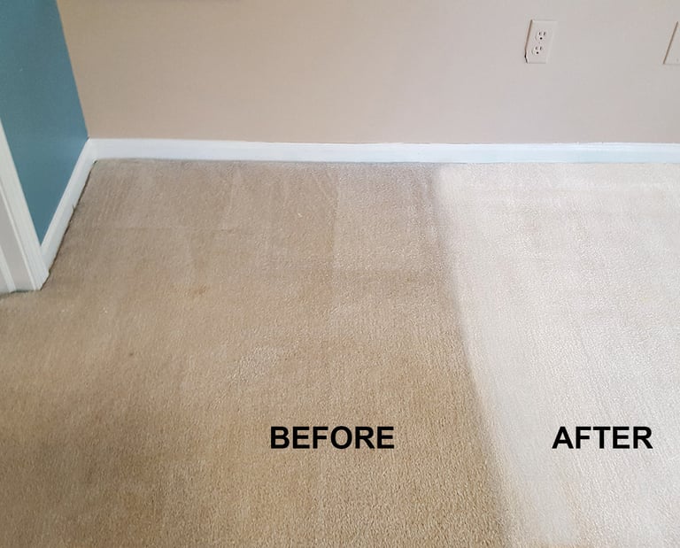 rug cleaning fort lauderdale