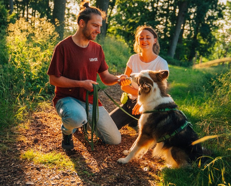 Achtsames Coaching mit Hund im Wald – individuelle Begleitung bei Takoda