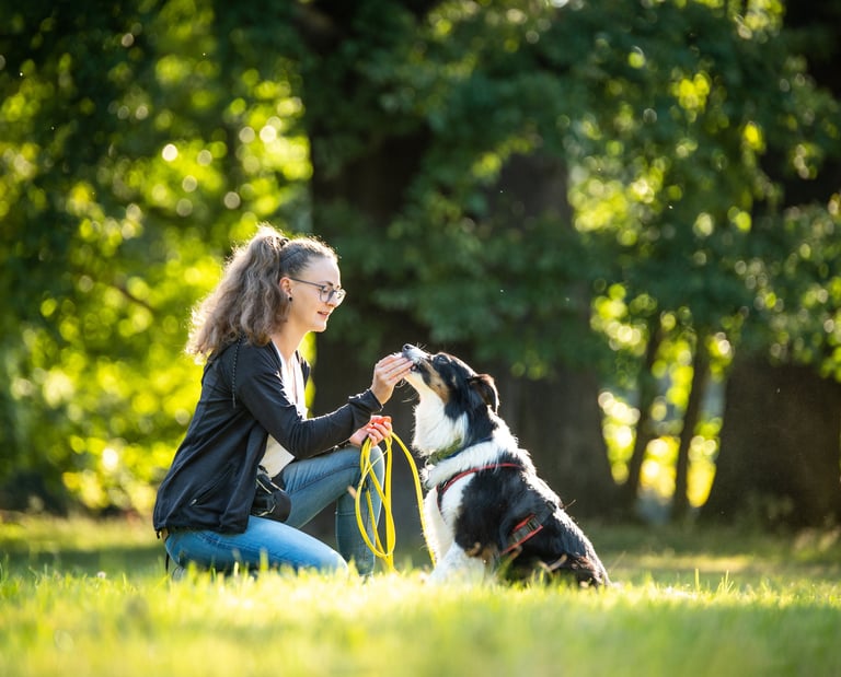 Verbindender Moment zwischen Trainerin und Hund – Vertrauen im Fokus bei Takoda