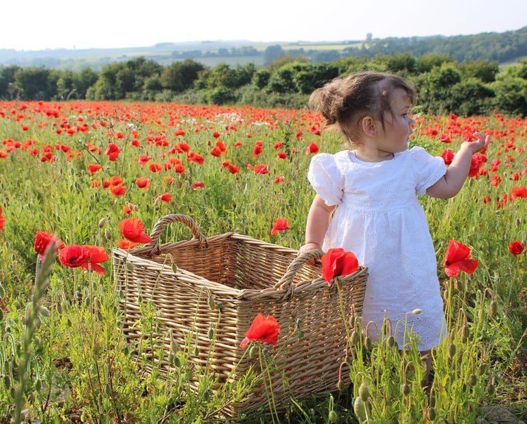 Séance photo d'un enfant qui se trouve dans un champ de coquelicots