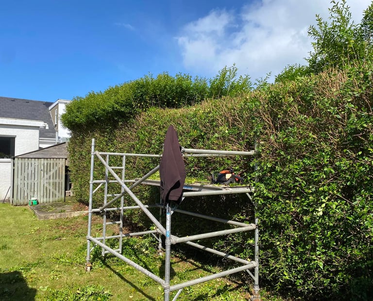 Garden Care Services