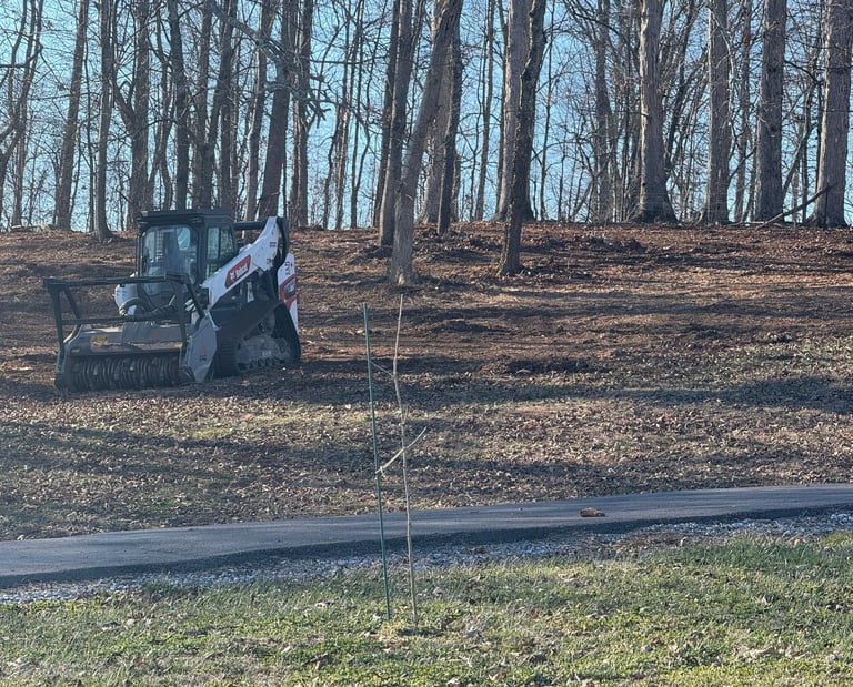 bobcat skid steer sitting idle in wooded area