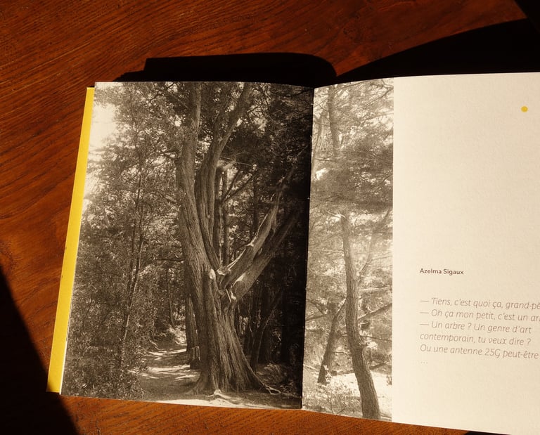 livre episolaris ouvert texte azelma sigaux