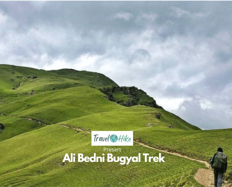 Trekkers scaling the lush trails of the Himalayas.