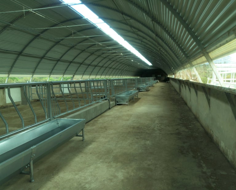 proyecto de Nave tipo túnel para cebadero de terneros