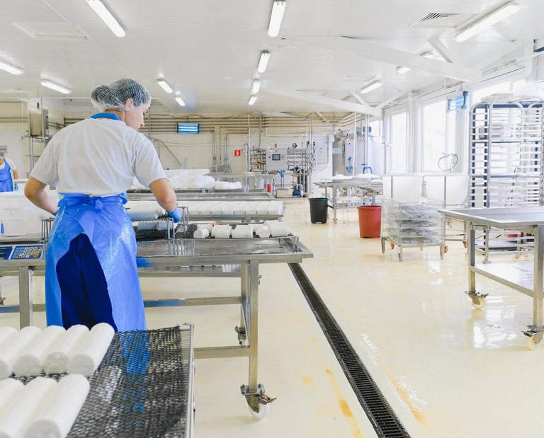 proyecto de sala de quesería con maquinaria artesanal