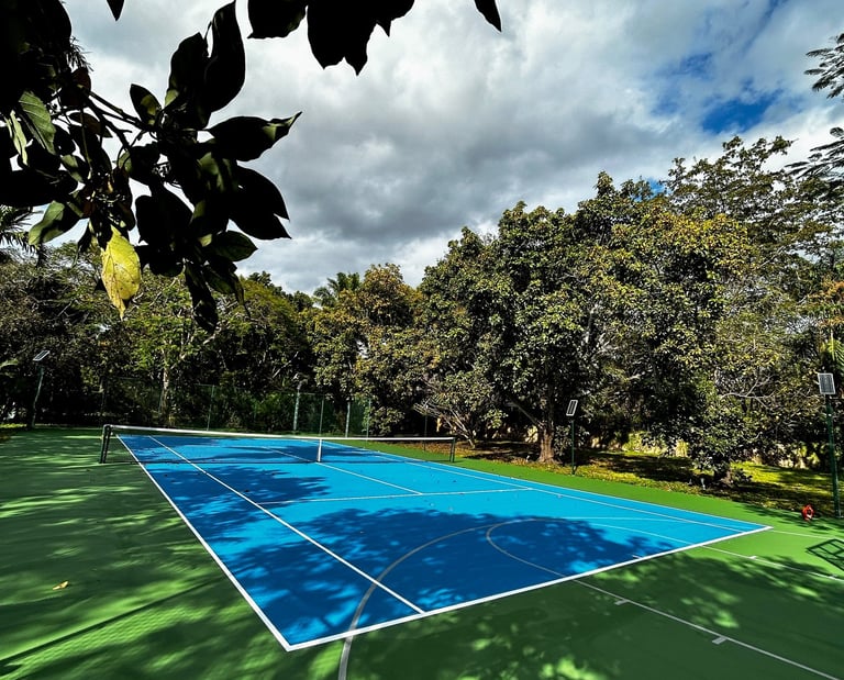Home Tennis Court