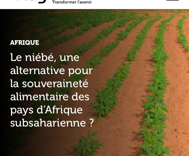 IRD Niébé