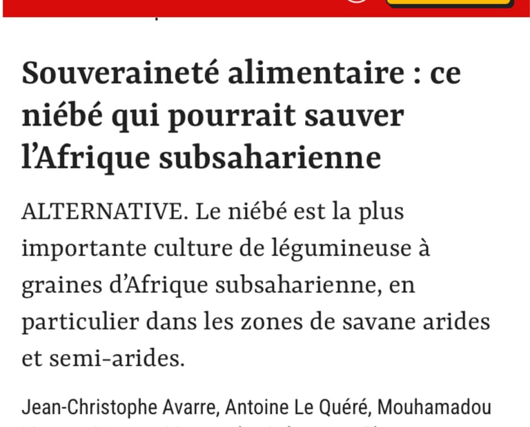 Le Point Niébé