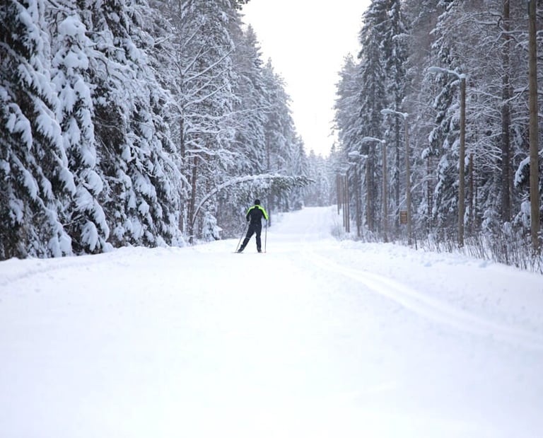 a person cross country skiing down a snowy path