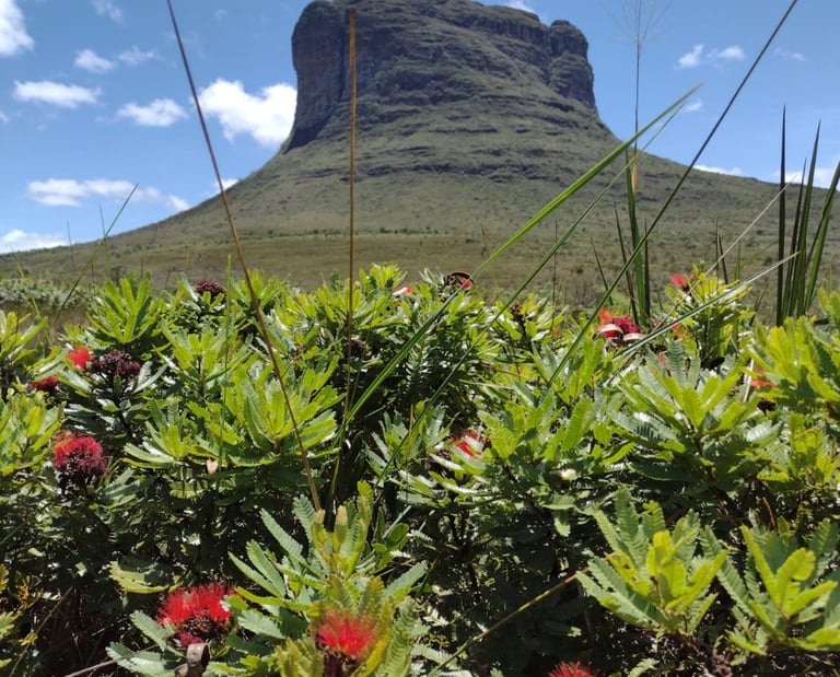 Morrão, Vale do Capão