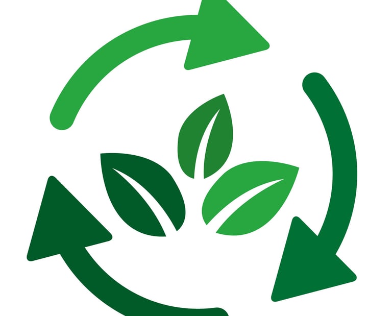 cycle vertueux écologique de la démarche RSE