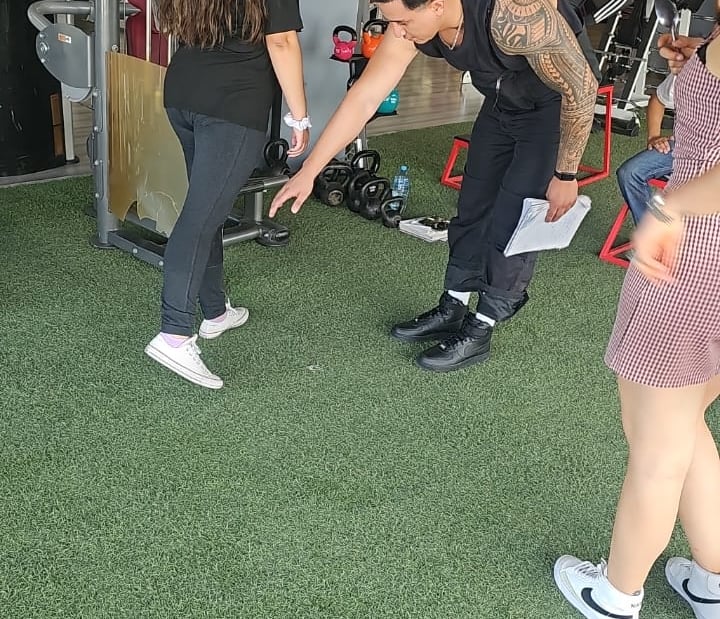 Curso entrenador de pesas