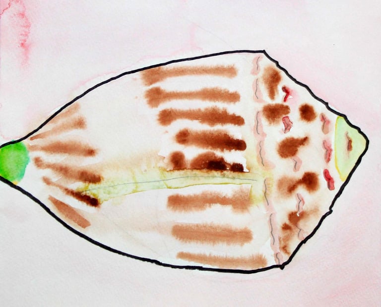 watercolor painting of a sea shell