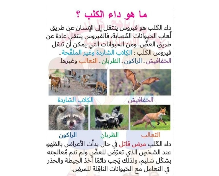 داء الكلب