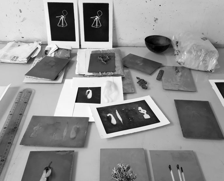 Atelier Claire Poisson Artiste Art contemporain