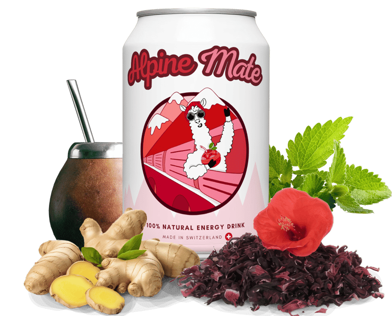 Boisson énergisante Alpine Mate en canette, à base mate, gingembre et fleur d'hibiscus