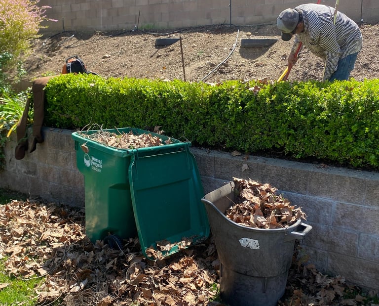 Bushing trimming and leaf cleanup