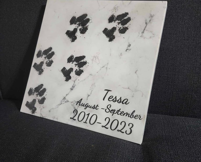 Dog paw prints