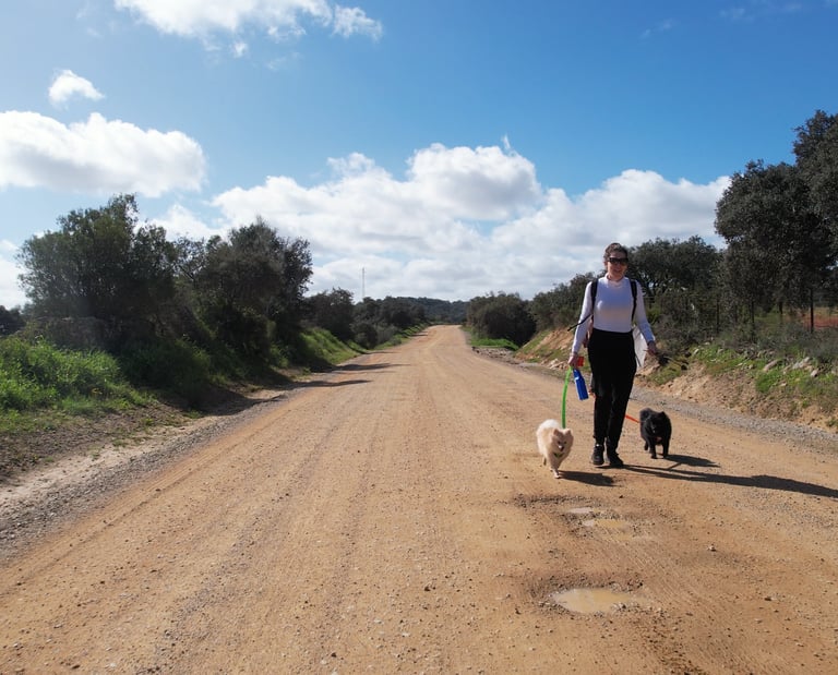 grabación personalizada con dron, mujer paseando perro por el campo, volar en entorno A3 con dron en españa