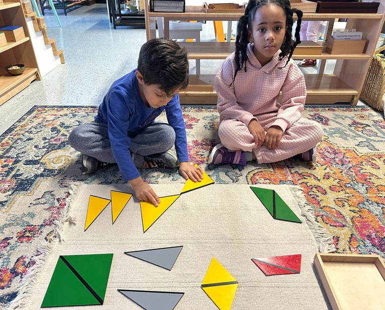 Montessori Activity