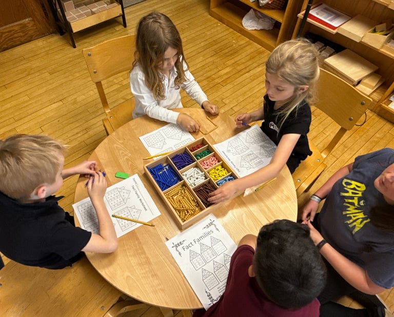 Montessori Group Activity