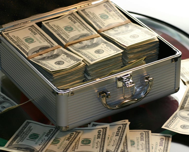 Case filled with money