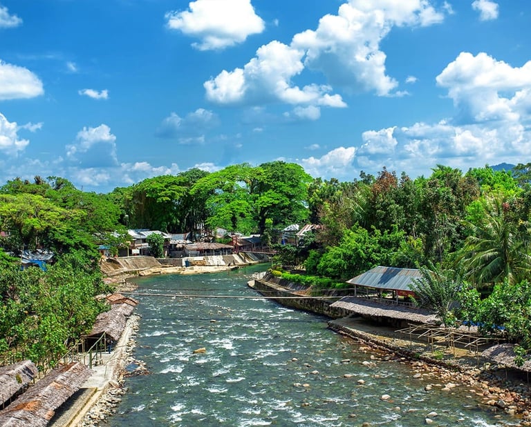 Bukit Lawang 