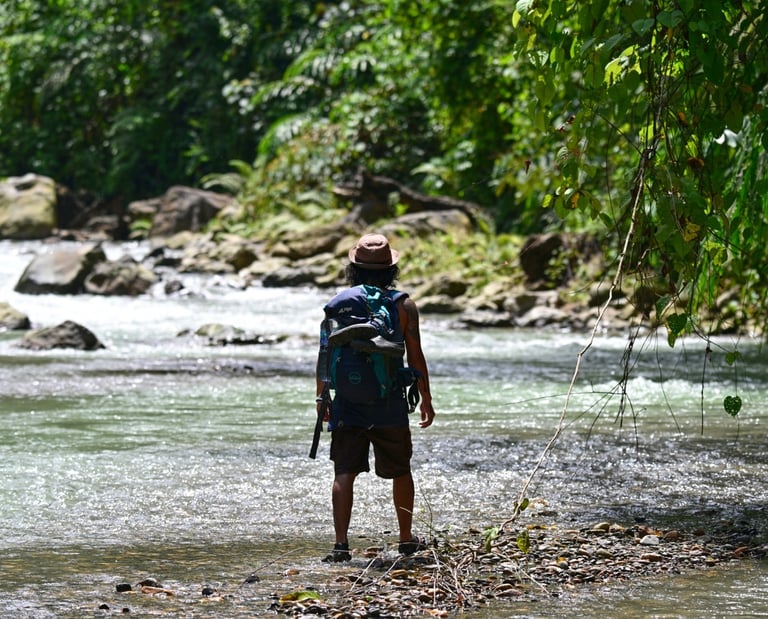 Bukit Lawang Trekking Price