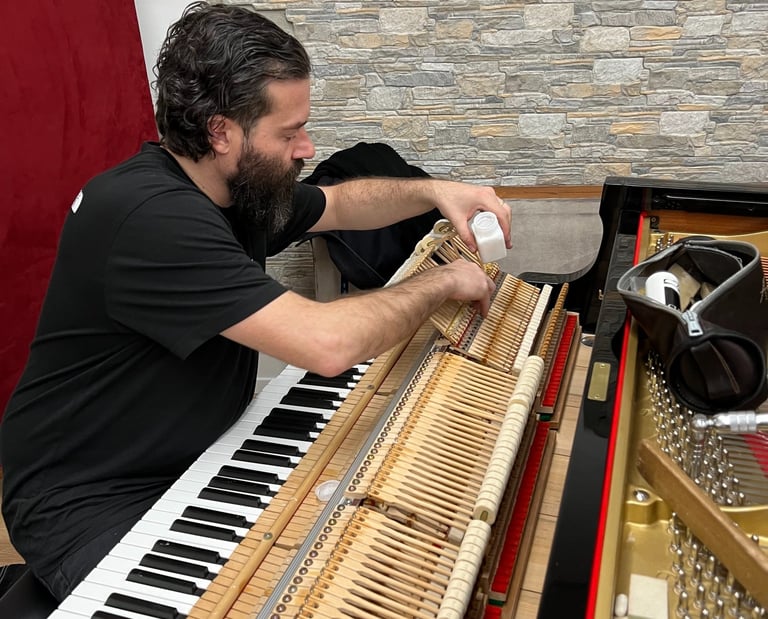 con noi collaborano i migliori accordatori d'italia