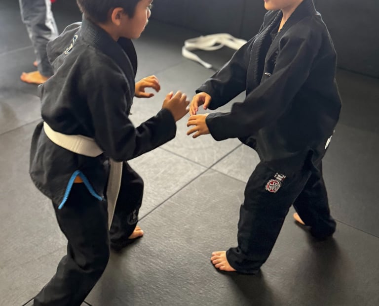 youth martial arts in kona, hawaii