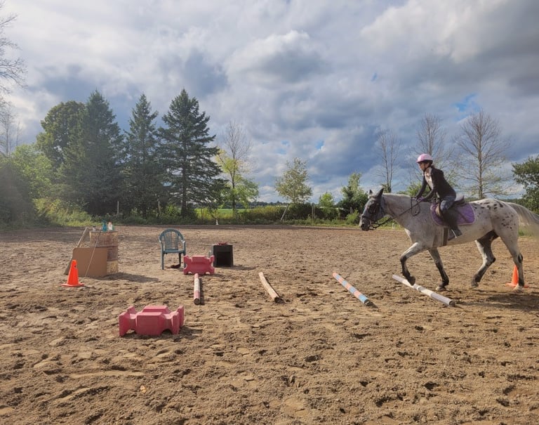 learn to ride montreal