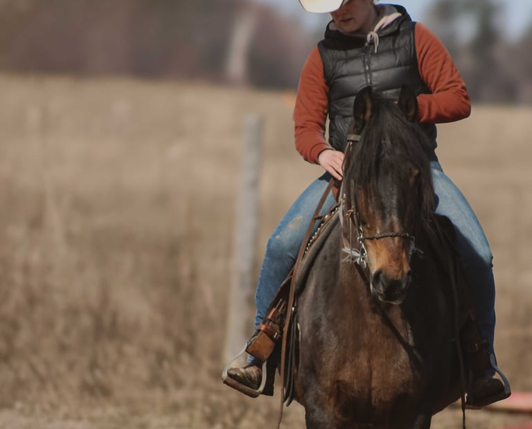 horseback riding lessons near montreal