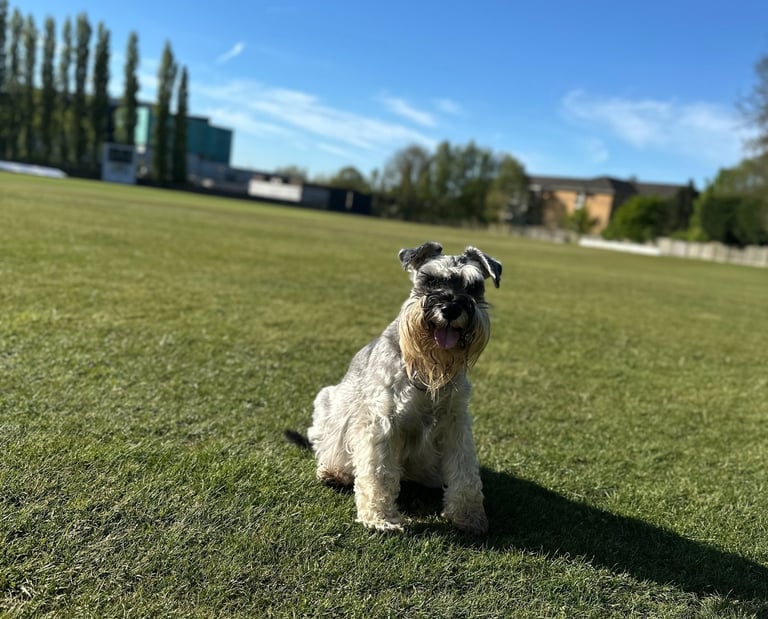 Local Character of Walsall