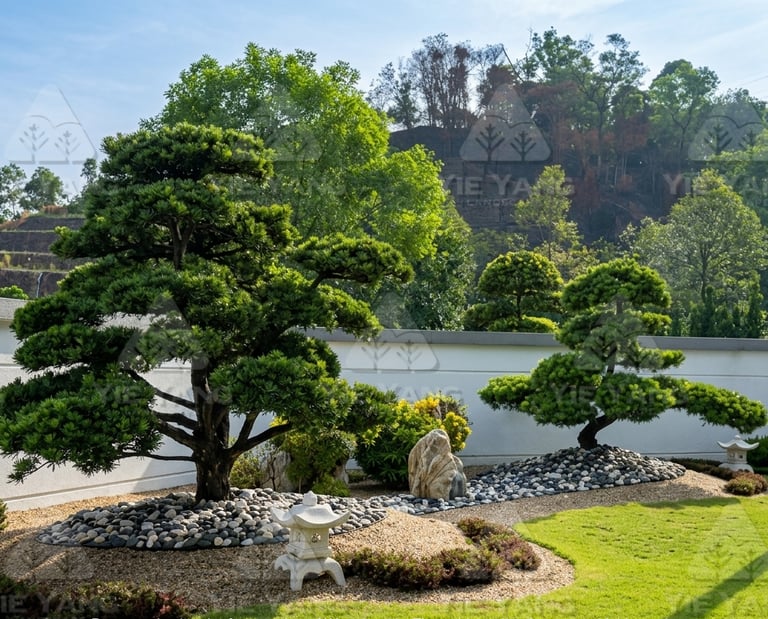 japanese-garden-bonsai-pine-stone-lantern-gravel-yie-yang-landscape
