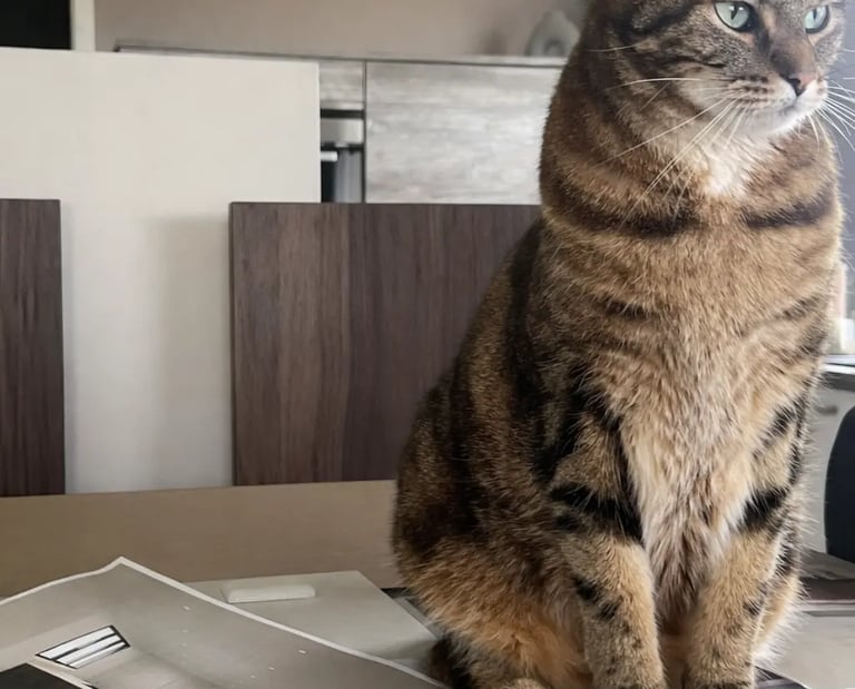 Cuisine sur mesure moderne avec îlot central réalisé par Baïa Home à Tourville-sur-Odon près de Cae