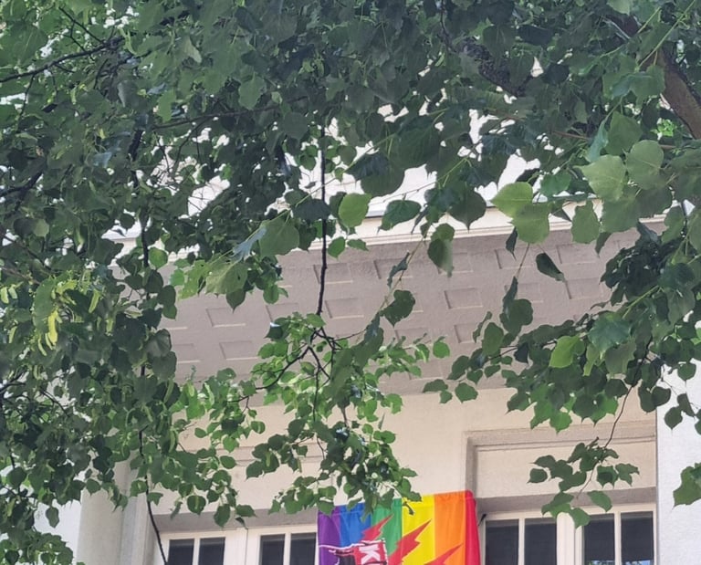 Sharepic zum Antrag, es zeigt eine bunte Flagge mit der Aufschrift "Keinen Bock auf Nazis".