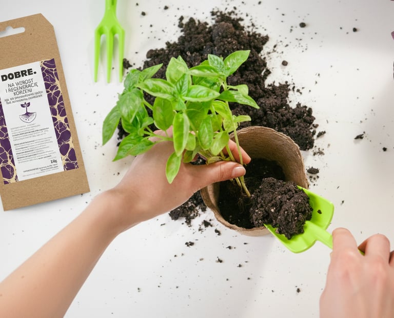 Rizocore dobre do regeneracji korzeni