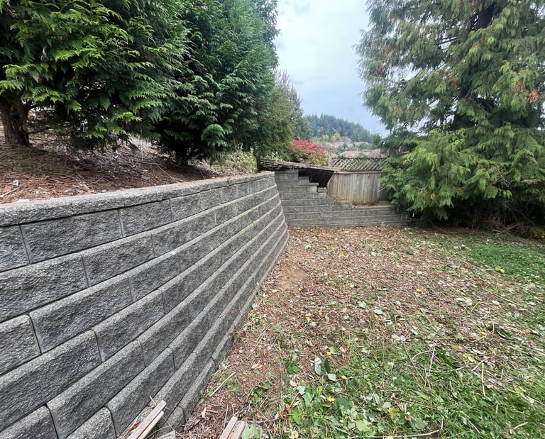 An area that recently had blackberry bushes removed. 