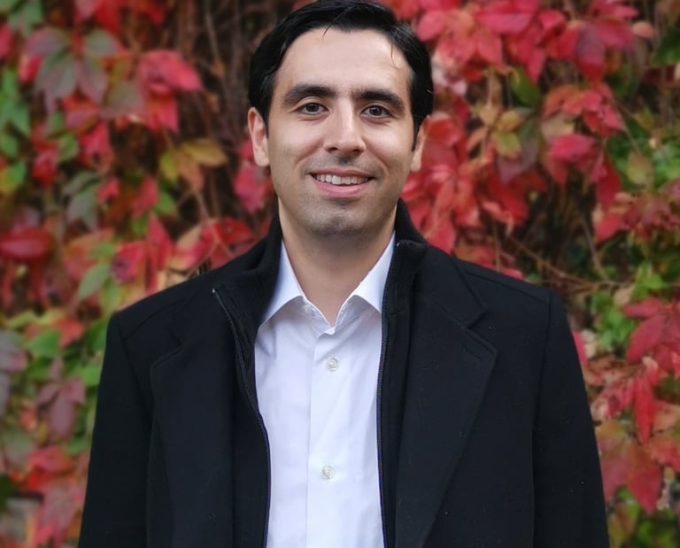 Amir Hassanpour profile